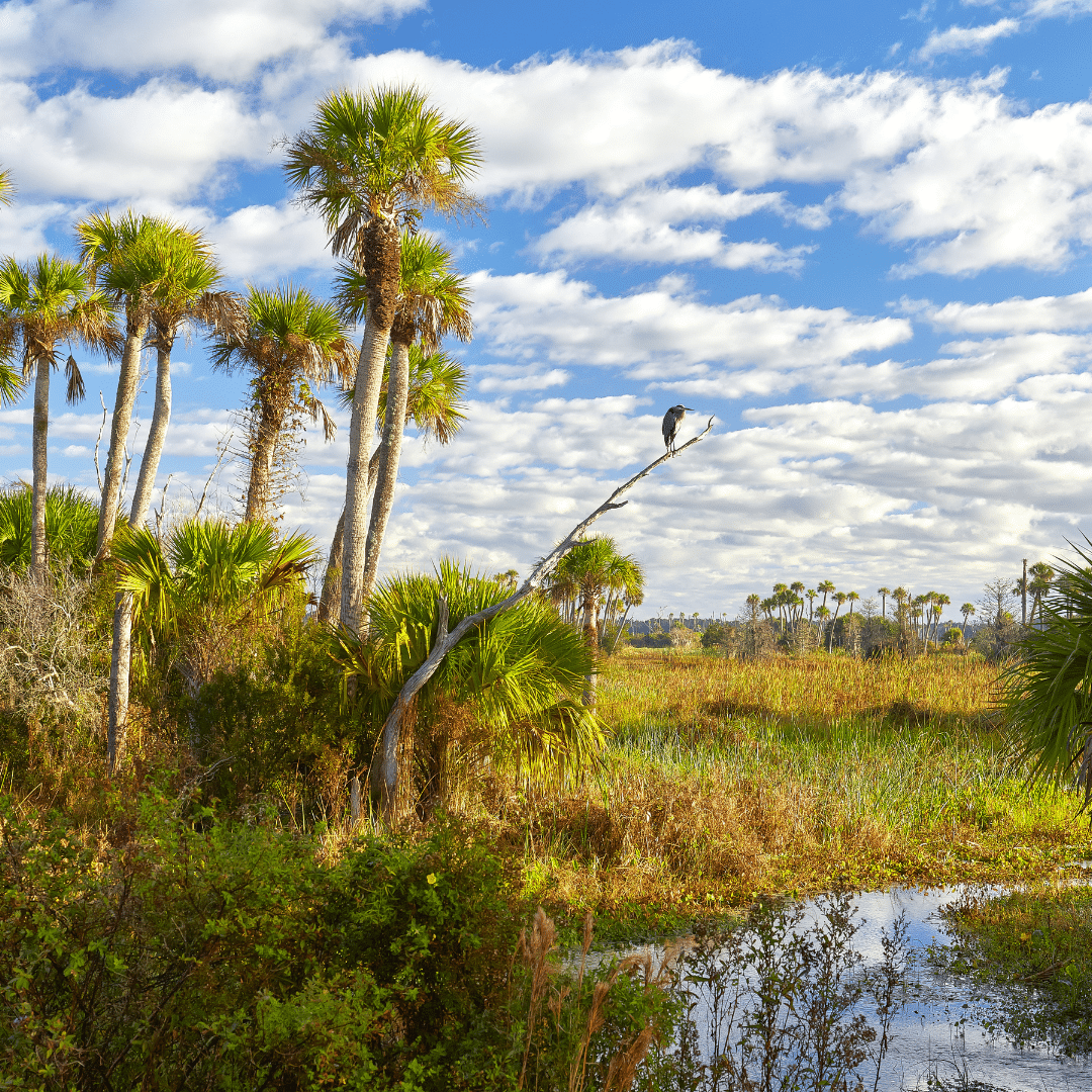 Orlando environmental permitting