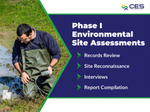 Tampa environmental remediation services