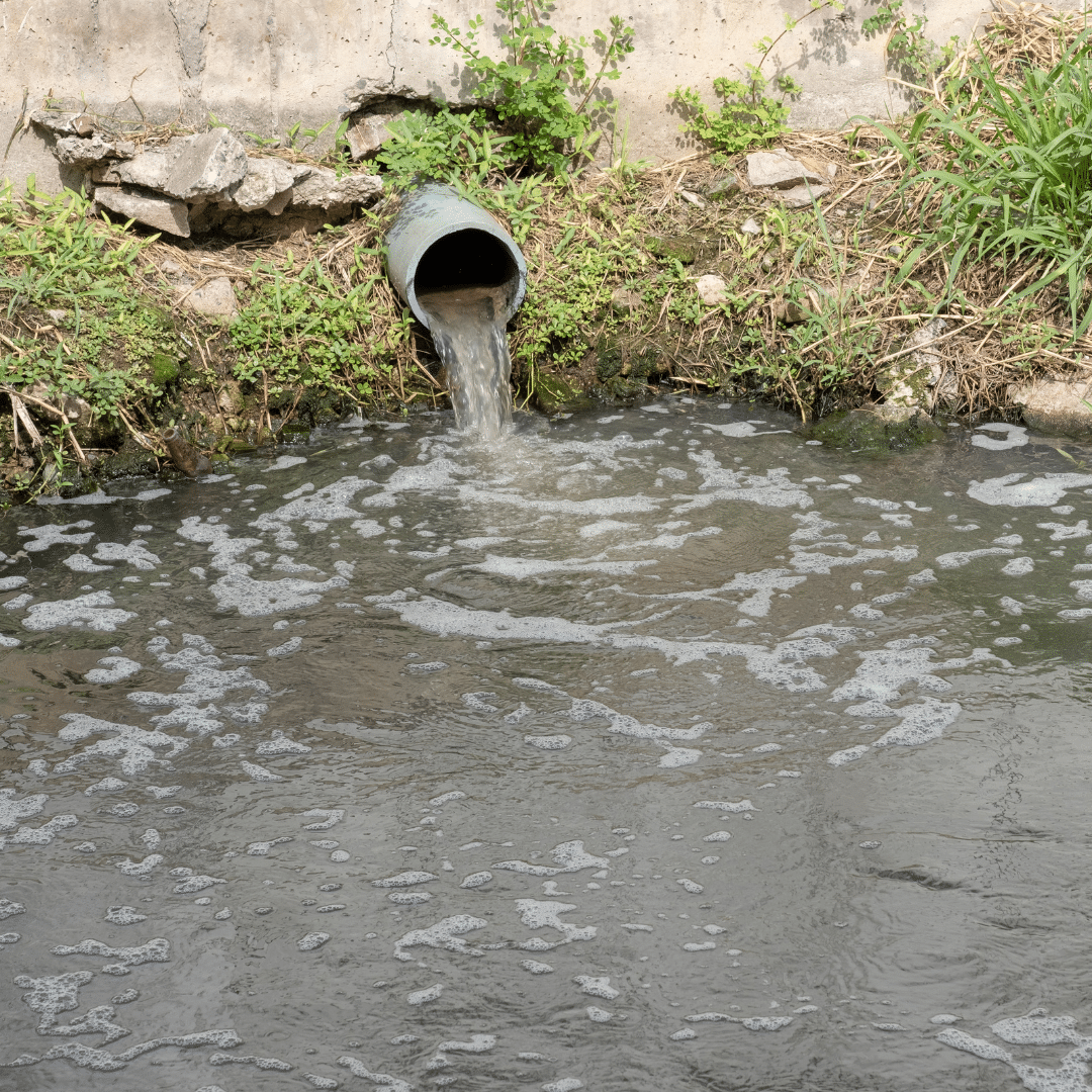 Florida environmental permitting