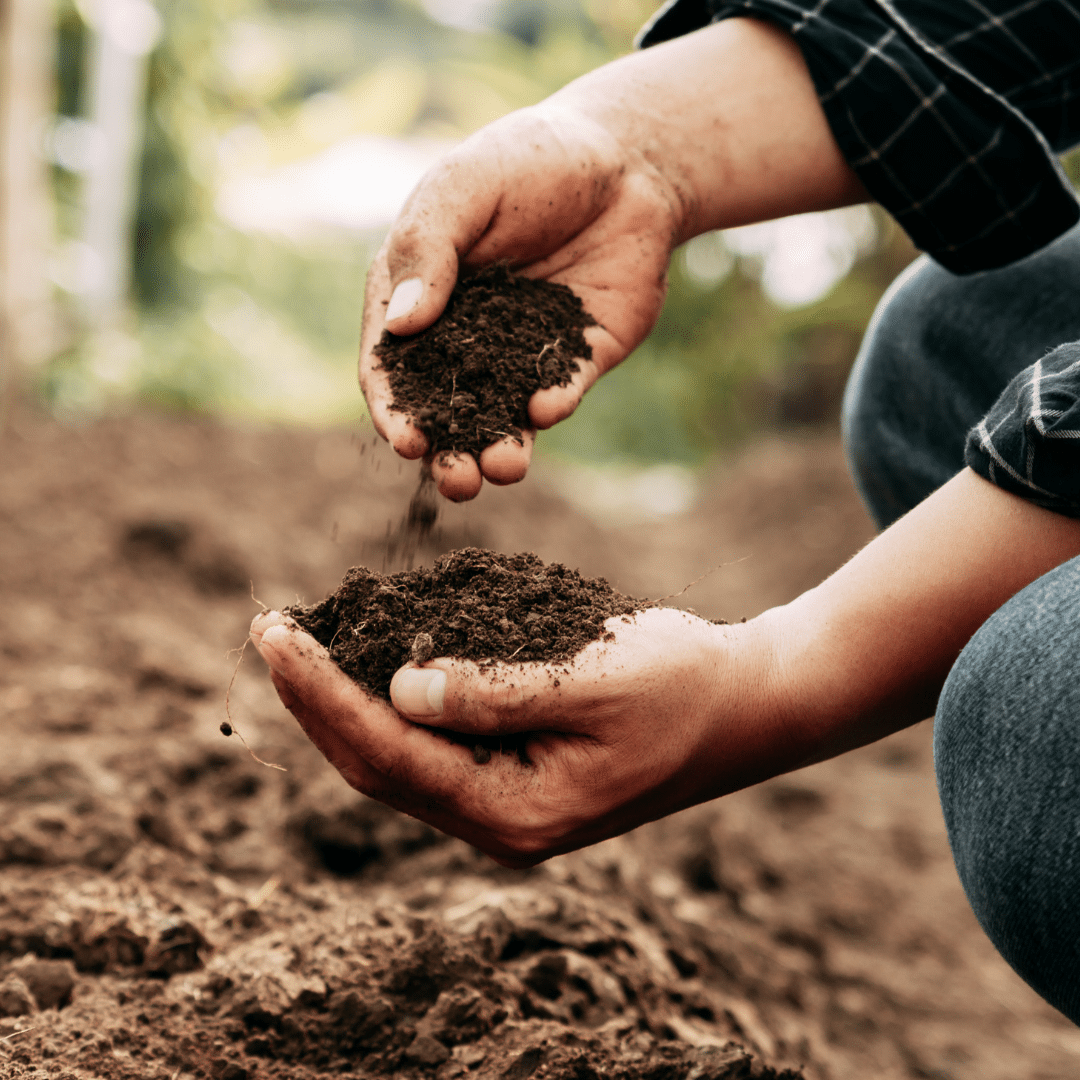 environmental testing services